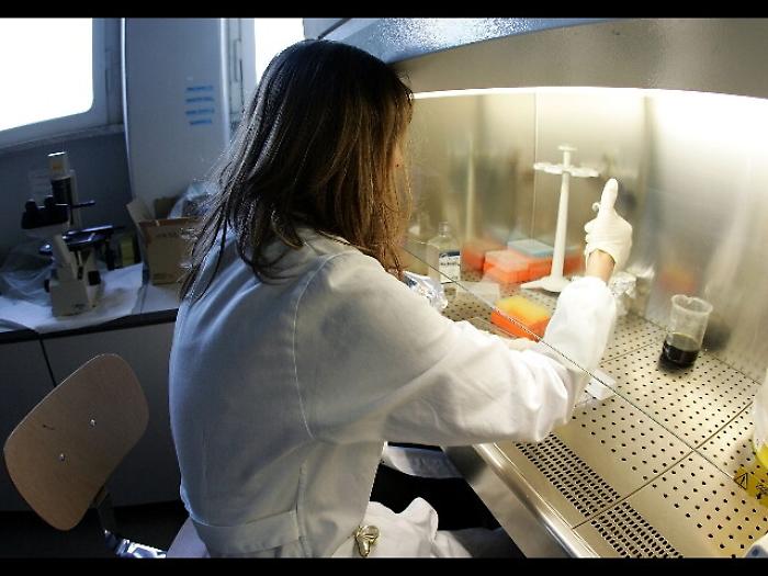 Ocse, Italia "patria" dei Neet