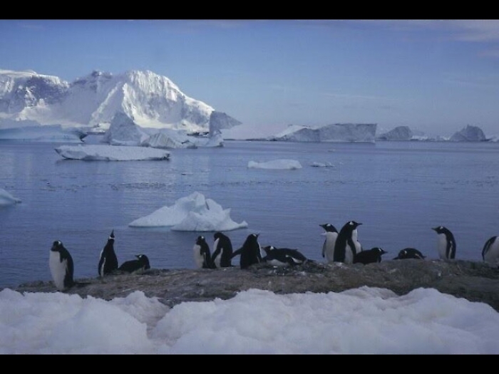 Nuovo stop a Riserve marine in Antartide