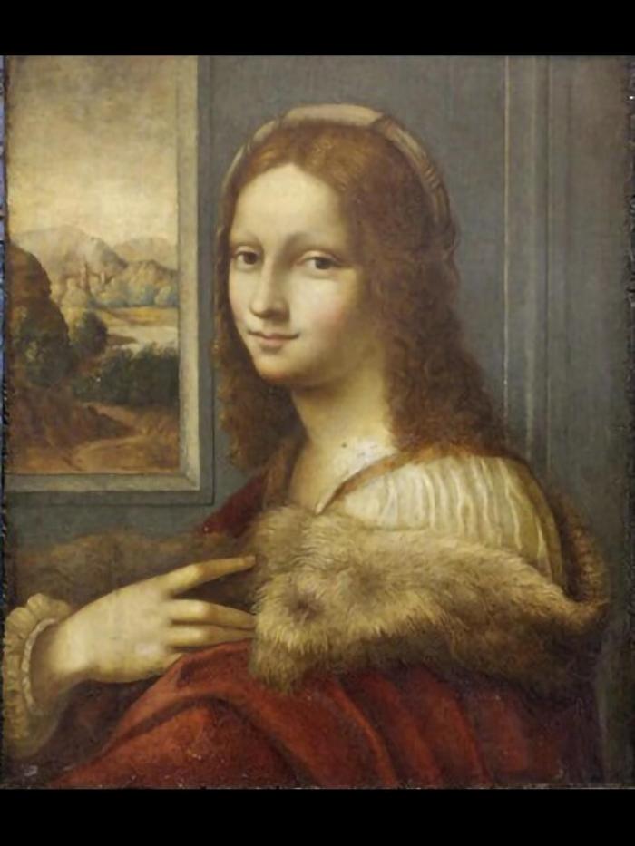 Vinceti e il Leonardo misterioso