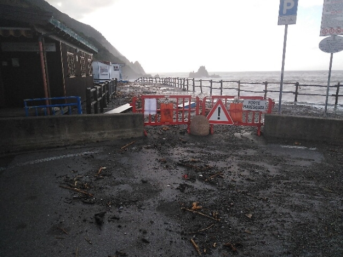 Moria animali per maltempo, tasso salvo