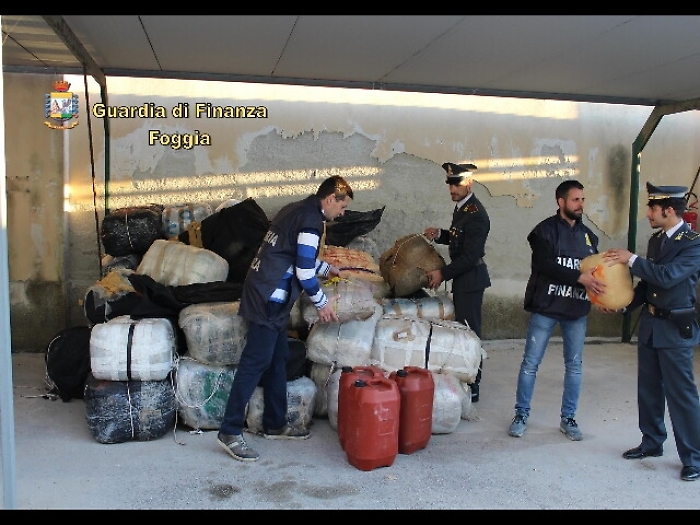 Sequestrate 2 tonnellate marijuana