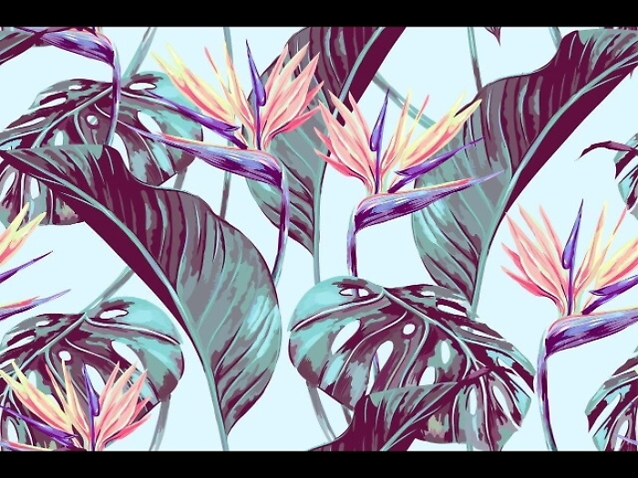 Maredamare, costumi 2019 esaltano natura