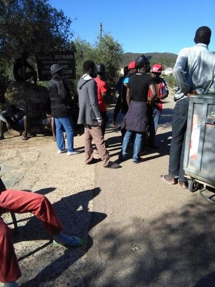 Rissa in centro accoglienza Alghero