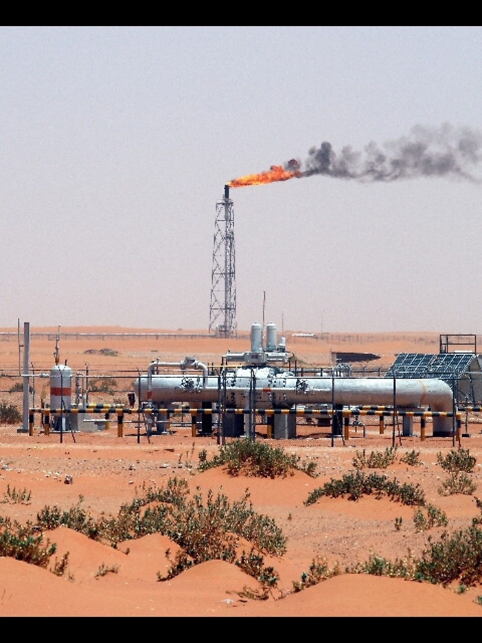 Riad, non influenziamo prezzi petrolio