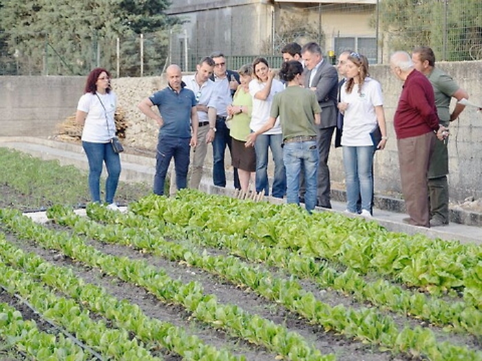 Coltivano la terra, salvati dalla tratta