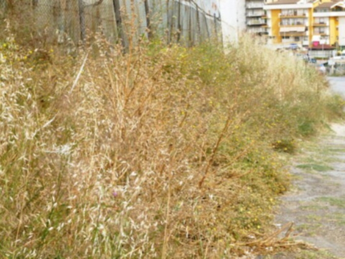 GN4_DAT_12399060_1618695401347-1