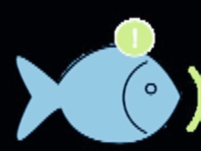 Un app per acquistare pesce appena pescato: ecco come funziona