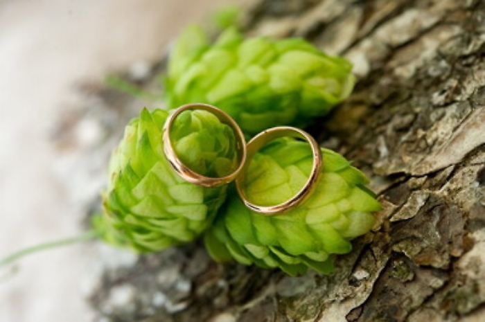 Feste pi&ugrave; lunghe e informali, &egrave; boom per l'agri-matrimonio