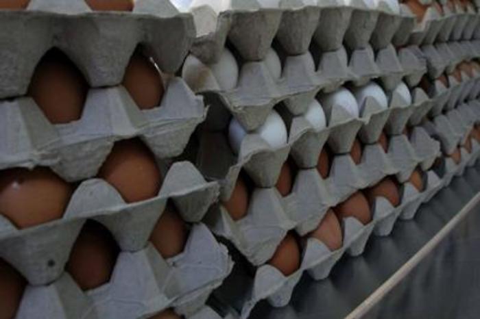 Alimenti: caso fipronil, arriva protocollo ministero-associazioni avicole