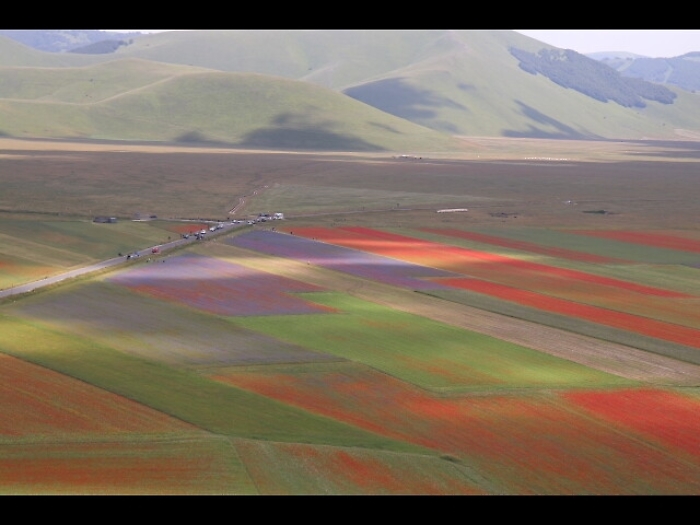 A Castelluccio la fioritura pi&ugrave; bella