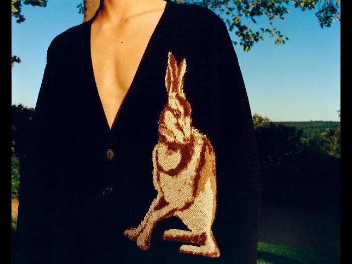 Da Loewe capsule ispirata a W. Morris