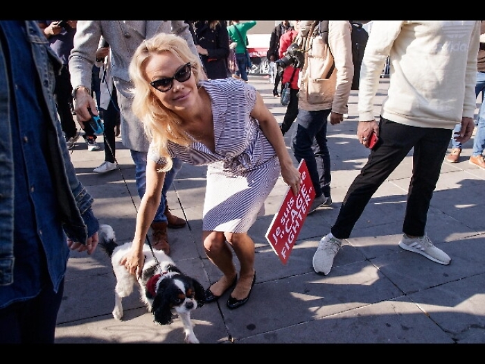 Pamela Anderson sostiene Varoufakis