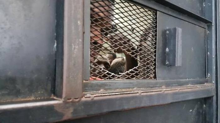 Unhcr, Roma faccia meglio su arrivi, ma sbarchi siano condivisi