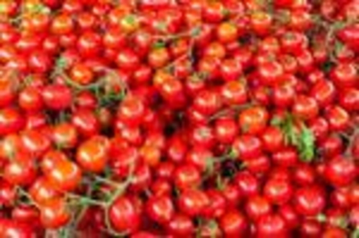 Ricerca: rosso per caso, svelata origine del colore del pomodoro