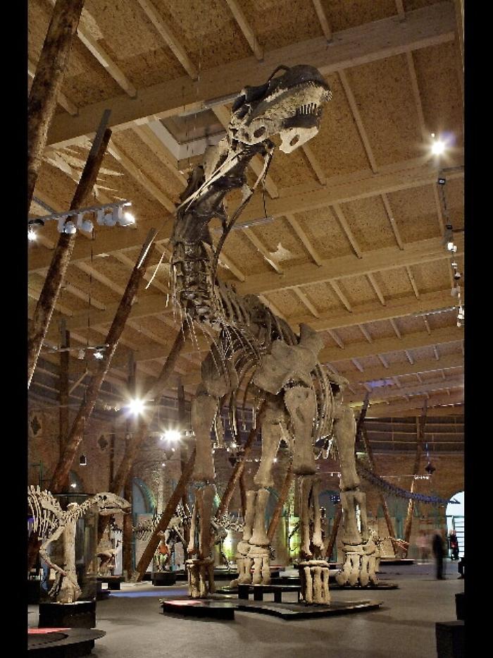 I dinosauri arrivano a Milano