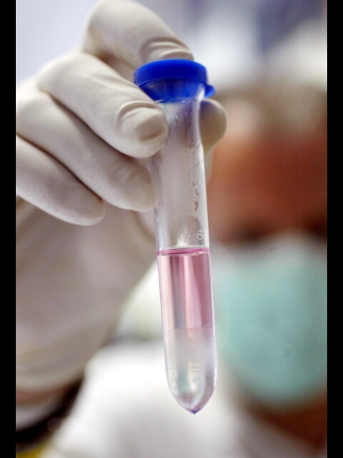 Stamina: filone bresciano, 4 condanne