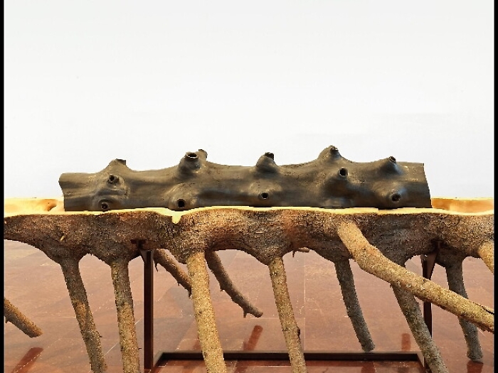 Matrice, la poetica di Penone in mostra