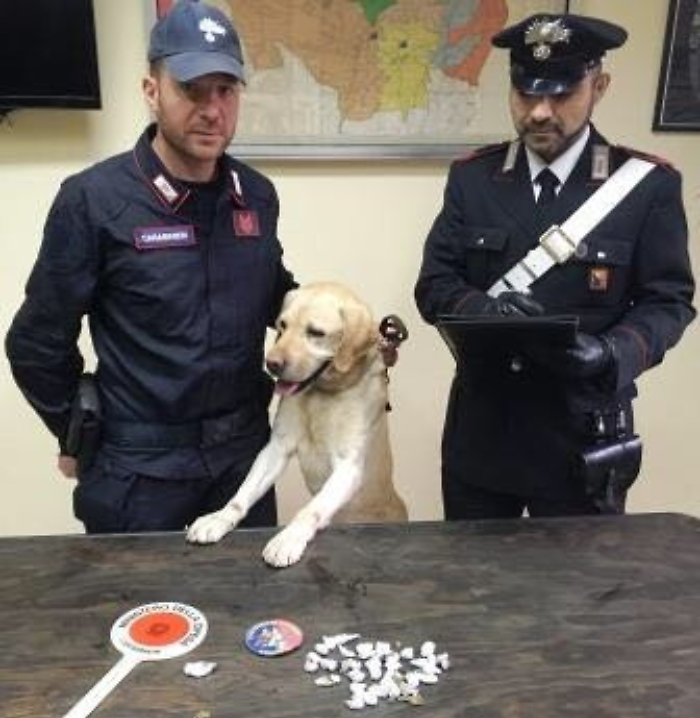 Giarre, con la droga in classe, arrestato sedicenne