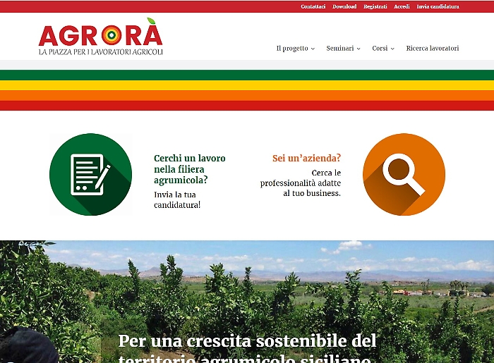 &Egrave; online Agror&agrave;, la piattaforma web per incrociare domanda e offerta di lavoro nella filiera siciliana degli agrumi
