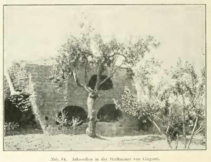 La mappa dei cimiteri paleocristiani in Sicilia tradotta dal tedesco dopo 110 anni
