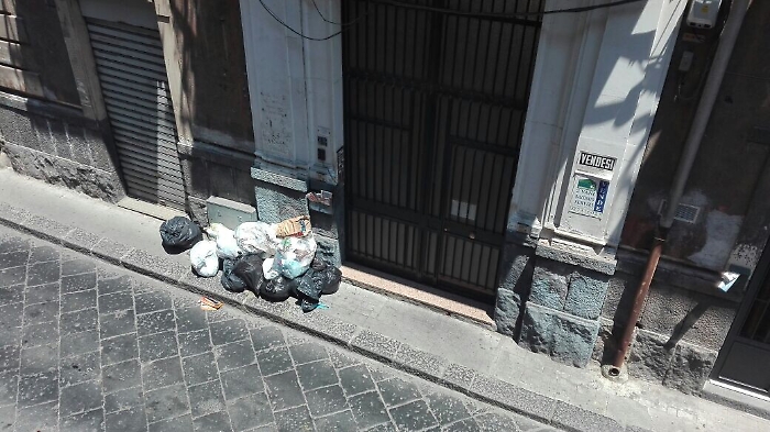 Catania: via Cilea, zona dimentica ma non da blatte e topi