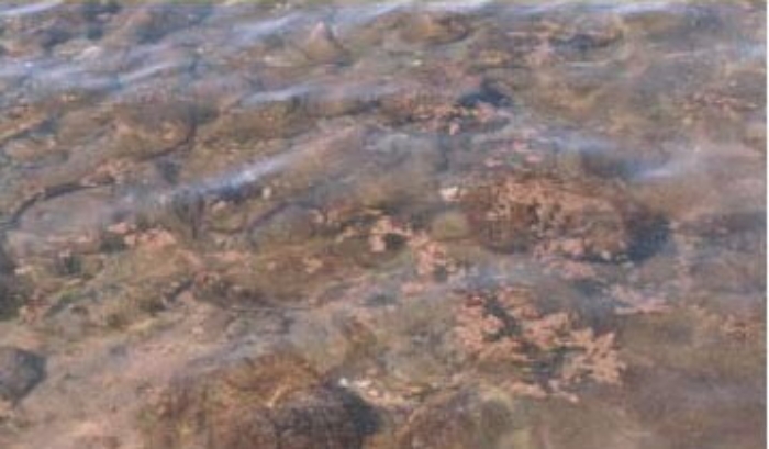Divieto di balneazione a Marsala