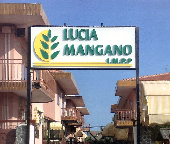 Istituto medico psicopedagogico, inchiesta sulla gestione, Dia acquisisce atti