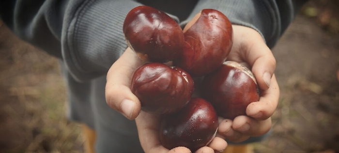 Viva le castagne!