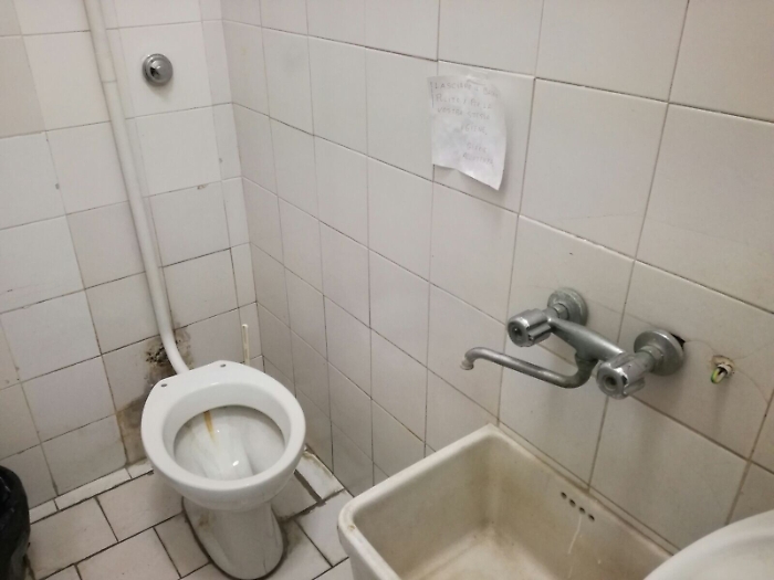 Catania, Dermatologia ospedale Vittorio Emanuele: formiche nei bagni?