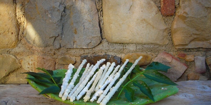 Record di visitatori al museo della manna di Pollina