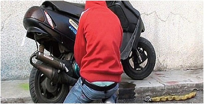 Gela, sgominata banda del &ldquo;cavallo di ritorno&rdquo;: 9 arresti