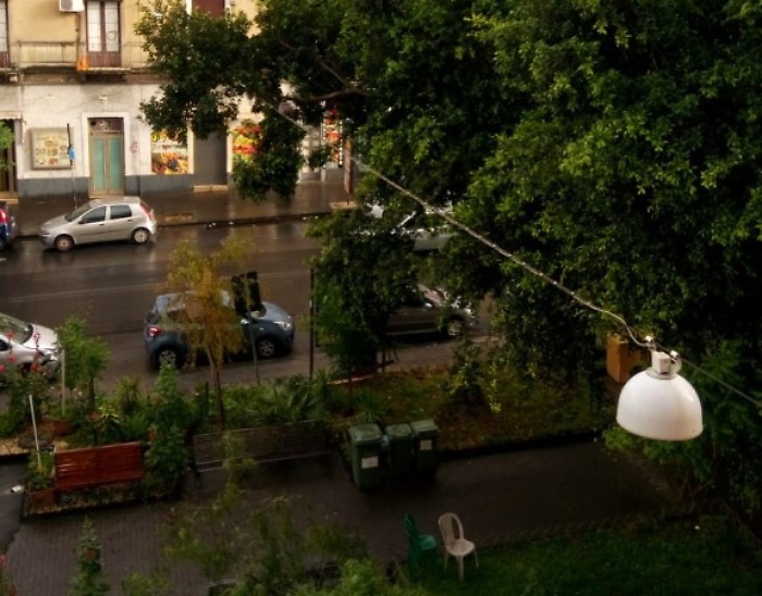 Catania, in piazza 2 Giugno un grosso ramo poggiato sui fili elettrici: &egrave; rischioso