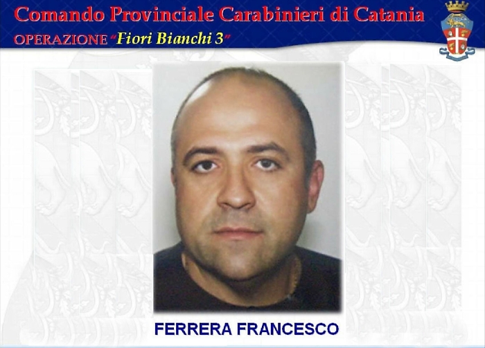 Ville con piscina, frantoi, garage: a Catania sigilli al patrimonio del nipote del boss