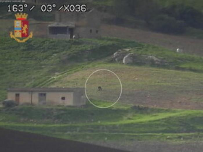 Mafia, caccia a Matteo Messina Denaro: perquisizioni in tutto il Trapanese