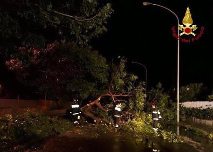 Maltempo a Palermo, alberi caduti e allagamenti