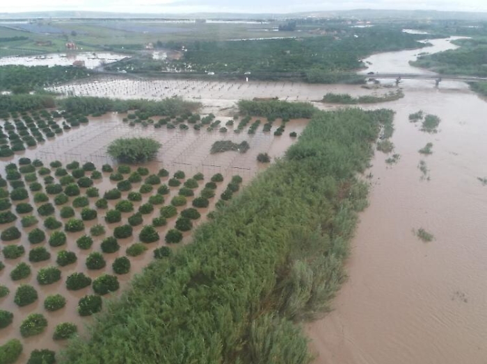 Danni maltempo all'agricoltura