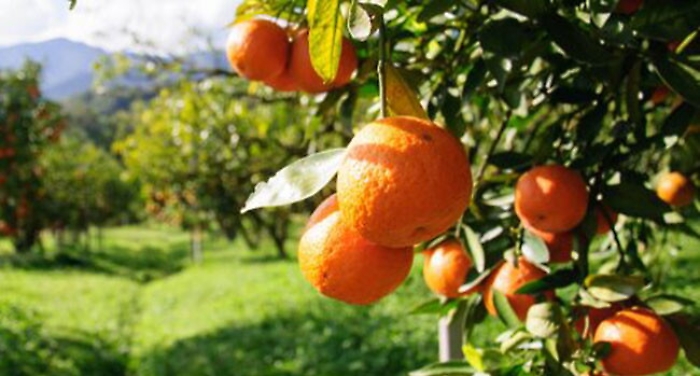 1544554740297_1618717851928-1