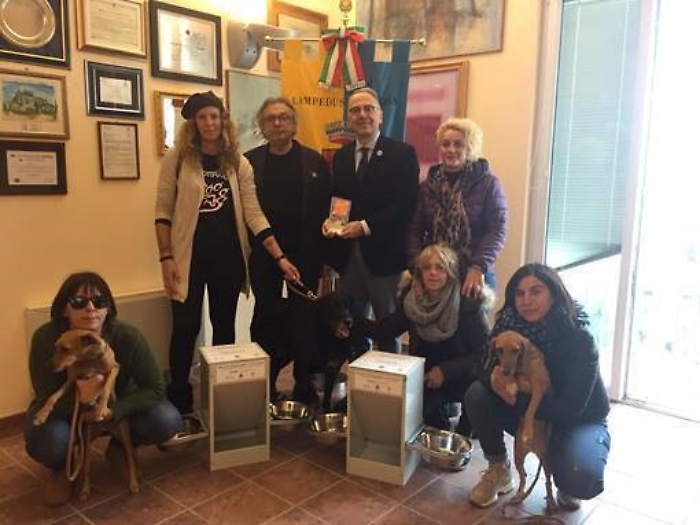 Randagismo: anche d'inverno i cani di Lampedusa non sono soli