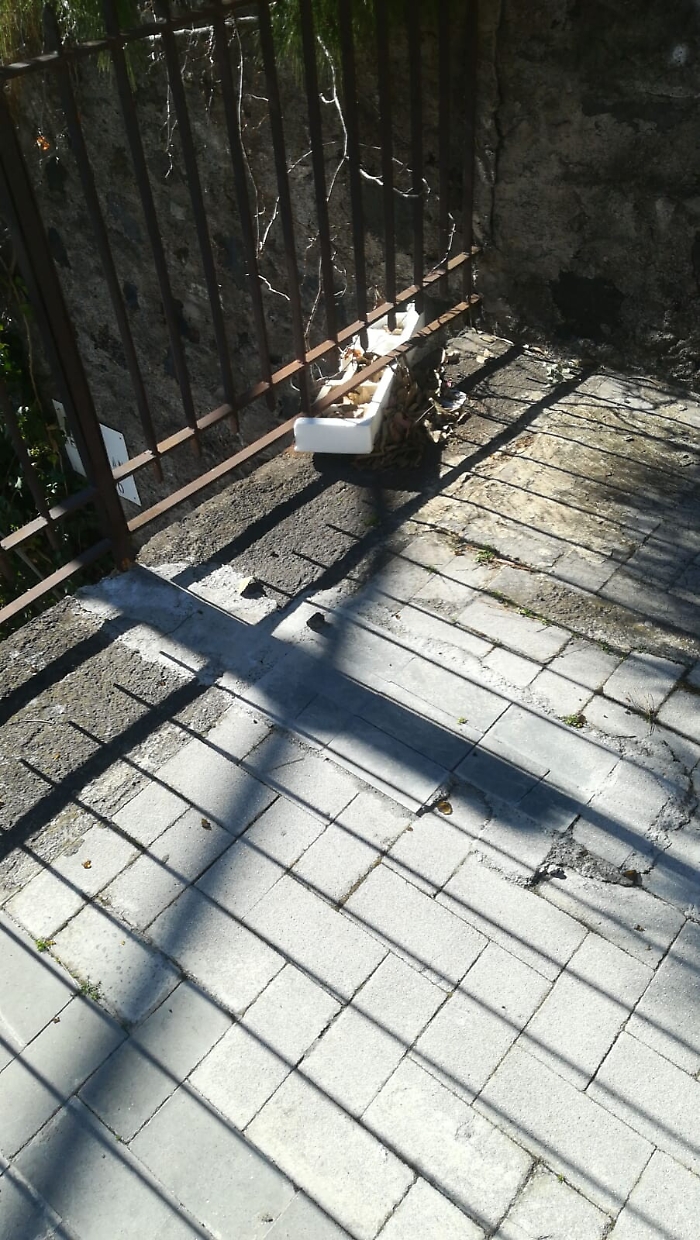 Catania: Via Sebastiano Gussio necessita di essere ripulita dopo il vento dei giorni scorsi