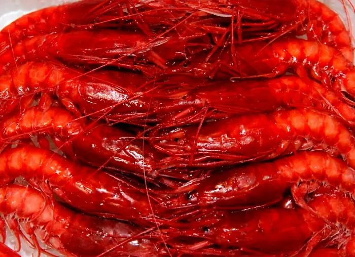 Mazara, dagli scarti nasce il nettare di gambero rosso