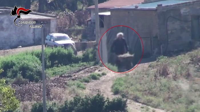 Truffa, 85 mila euro da Inps ad allevatore falso invalido