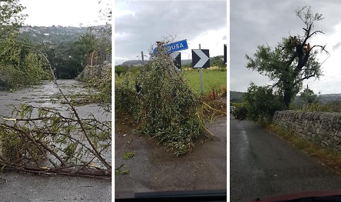 1558006187707_1618709642494-1