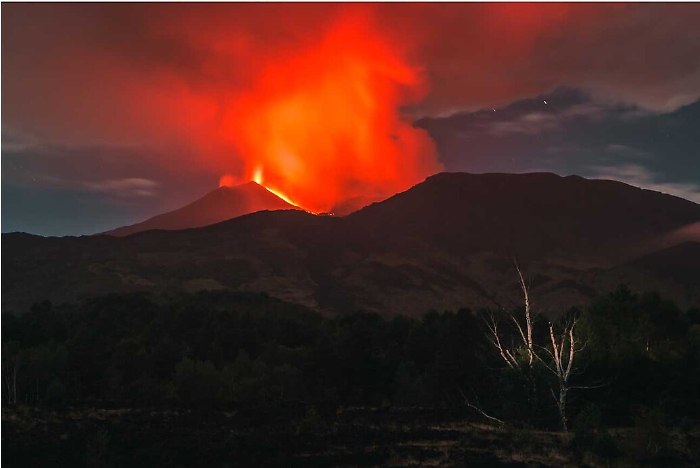 La betulla e l'eruzione dell'Etna, ecco la foto che ha vinto il premio &laquo;Hortus Siculus&raquo;