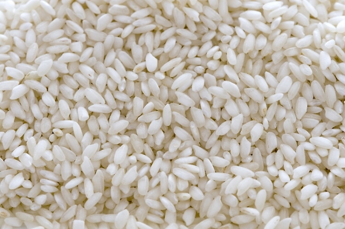 Escrementi di topi e piume d'uccello in silos di riso nel Torinese