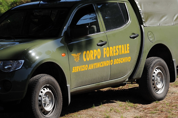 1563479588622_1618743002717-1