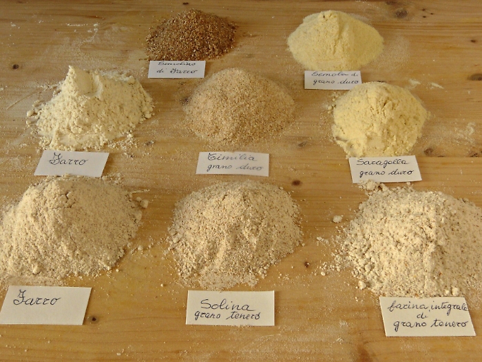 Grani antichi e Licata: un binomio vincente