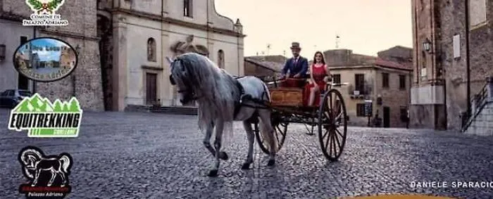 Palazzo Adriano: c'&egrave; il Gran gal&agrave; equestre