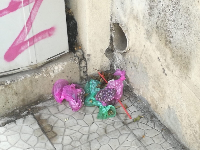 Catania: deiezioni canine abbandonate dagli "animalisti&amp;ecologisti"