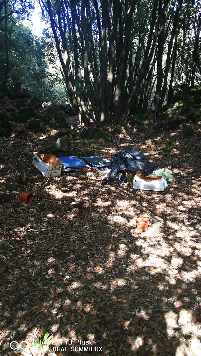 Nicolosi: incivili nella pineta dei Monti Rossi