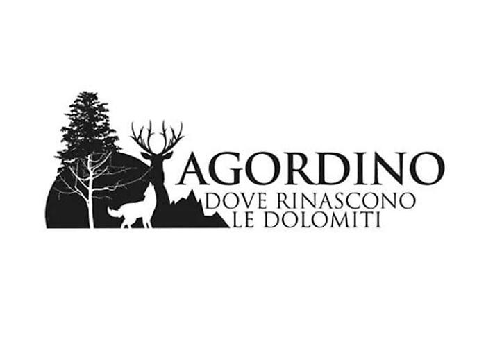 Maltempo: incontro e logo per Agordino